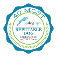 badge badge